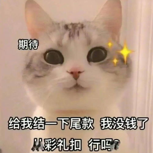 榆社人挺住5级西北风来了,坏消息一个接一个