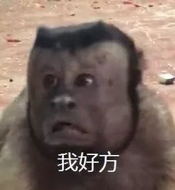 吐槽我在ubc遇到过的那些奇葩教授