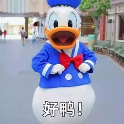 天气秋裤预警明天起冷空气已经安排上了