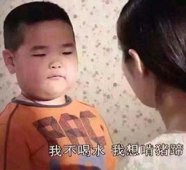 谢腾飞表情包gif下载谢腾飞微信表情包无水印下载