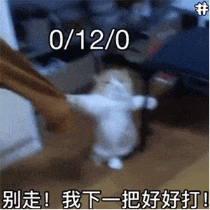 帽帽鼠表情包gif沙雕