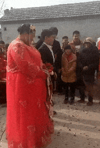 搞笑gif什么时候猫跟老鼠都可以这么和谐相处了,时代真的变了吗