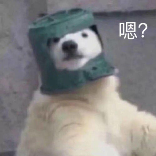 预测9月四六级考试成绩将于11月9日前公布内含12月补报通知