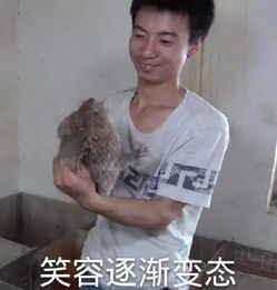 有料教师节马云回归教育一周头条老师比较忙