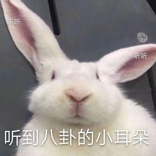 世界十大奇景之一,这里是哈利波特里的魔法世界