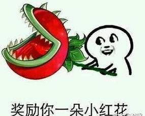 科技乱谈琴2016年并不适合买手机