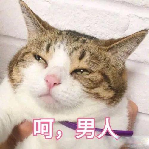 男生和女生之间到底有没有纯友谊
