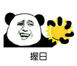 流口水的表情包熊猫骂人