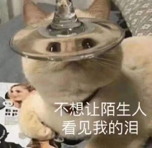 表情包丨自律自爱这不是词汇是行动