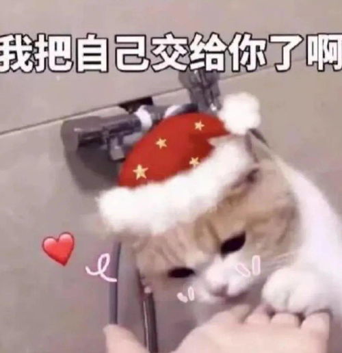 圣诞节表情包