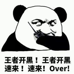 东进西协南联北拓中优深圳在布一盘怎样的棋局