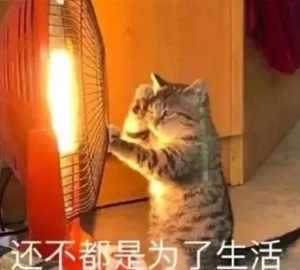 能活过2020年的家居建材人,都是英雄