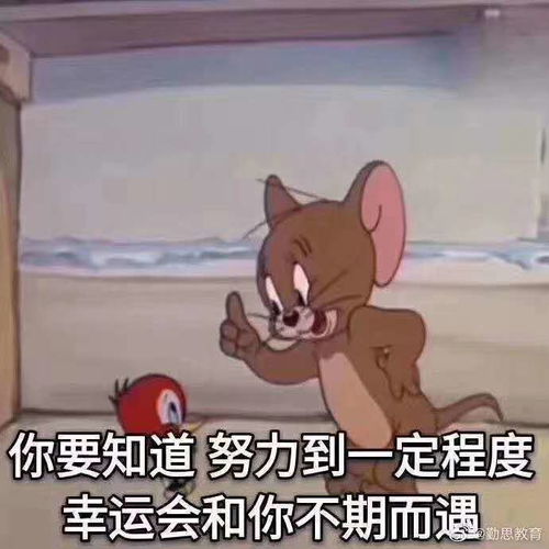同归于尽复习法表情包