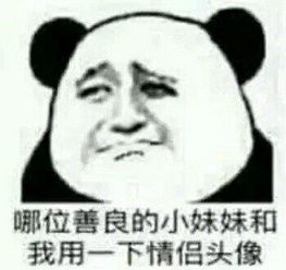 熊猫头撩妹表情包你去哪里了,我好想你