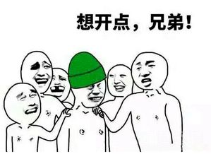 熊猫头被带绿帽子熊猫头被带绿帽子趣味表情图片免费版软件下载
