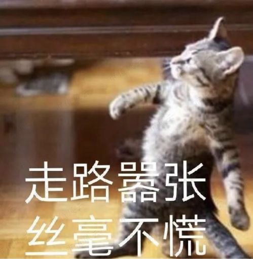 金属钠产能全球第一,纯碱产能全国第一,有望成为一头现金奶牛中盐化工,新王诞生