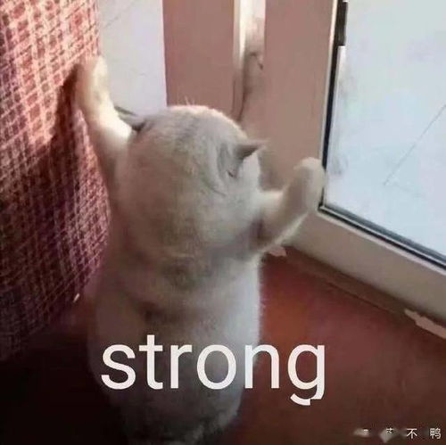 暴雨蓝色预警预计22日20时到23日20时,我市有一次阵雨或雷雨天气过程