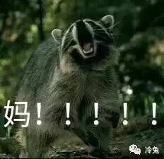 如果你妈微信经常不理你,就把这套表情包分享给她