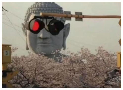 塔吊表情包图片大全墨镜