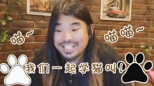 3首学猫叫翻唱版本,第1首表情丰富,第3首听完就酥了