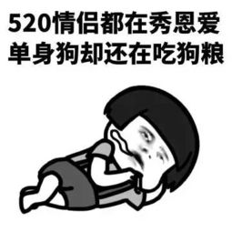 520怎么少的了表情包
