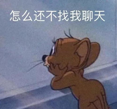 搞怪猫和老鼠表情包第五弹