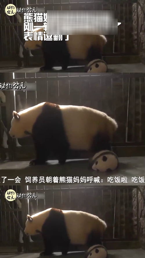 在线按奶20元一次表情包母亲