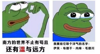 回南天干衣神器,只要68元全国包邮限量500份大湿,请放过那条内裤