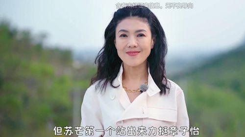 苏芒用丑照毁掉伊能静,遭名门痞女洪晃暗讽