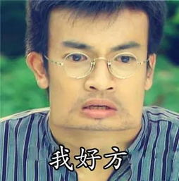 急转2岁娃高烧不退凶手竟是蜱虫丰润家长可要注意了