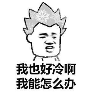 套路表情包好冷啊,麻烦帮我叫个滴滴暖床