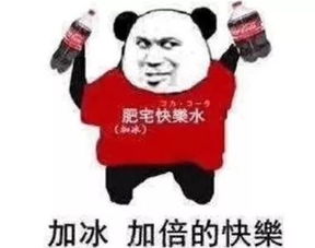 别过来,我我我我我我我我我过敏