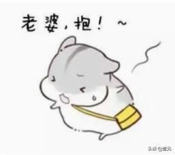 干货求生欲超强的表情包
