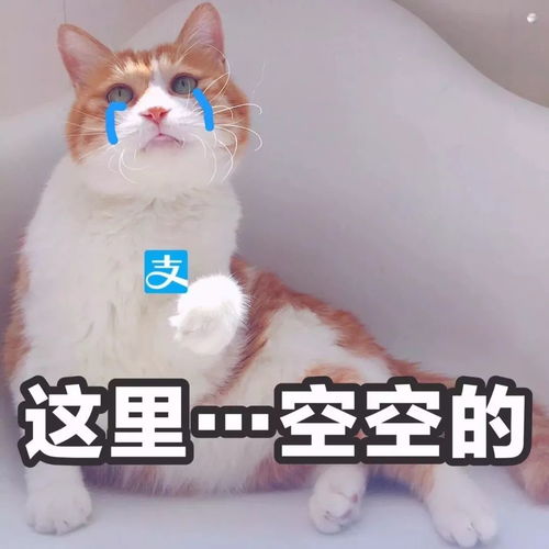 胶原蛋白大测评没想到最有用性价比最高的竟是它