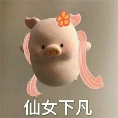 e句话看天下丨罗志祥还在为复出努力