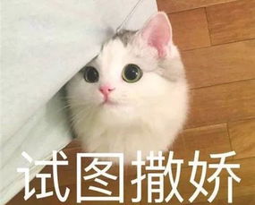 风靡票圈能发家致富的拉人减肥皮条链,3天500块月瘦几十斤的操作想付款试水的我被劝别作s