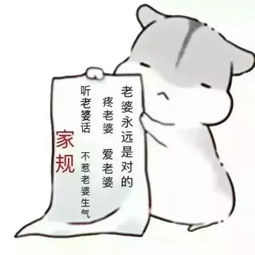 何必照片何必相册大全yy官方