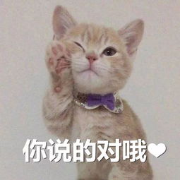 严厉打击涉牌涉证,让问题车无处遁形