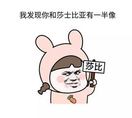 2017年火爆朋友圈的怼人语录内附斗图表情包