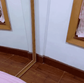 猫咪第一次见到镜子里的自己,表情十分气愤,猫有本事你出来