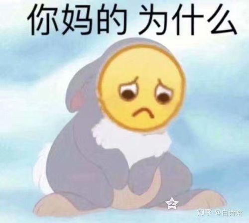 有哪些珍藏表情包不求多但求精