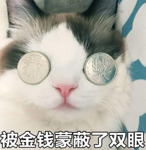 强势围观在澳有多少钱算土豪家庭平均财富值是多少跻身top10需要这个数