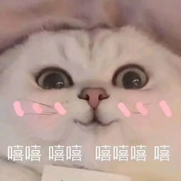 女生背包包的3不要,没背对超级丑