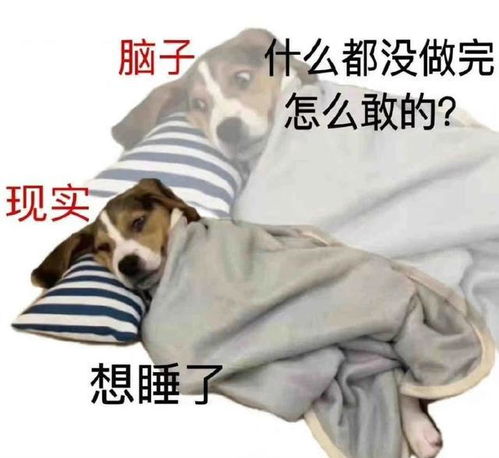 今日份表情包系列我选择相信他