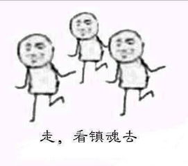 为沈教授和赵处长的社会主义兄弟情打爆电话