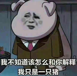 说说你苦逼的学舞蹈经历吧