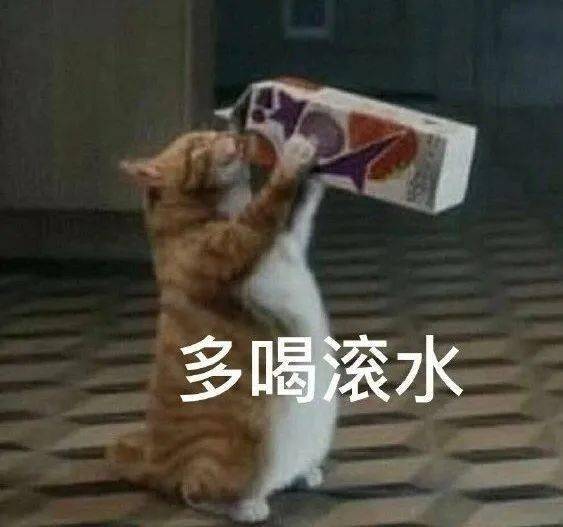 日本白领好丈夫每天不辞辛苦坐新干线上下班