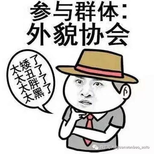 确认过你的眼神秦pro外貌协会的菜