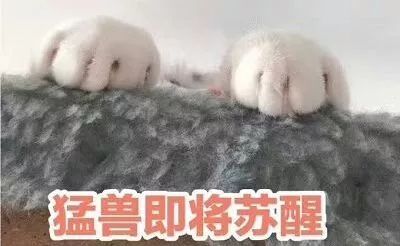 睡不着表情包一套起床