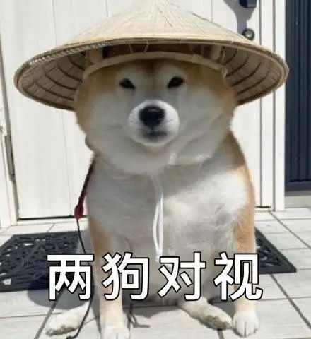 看我主页1